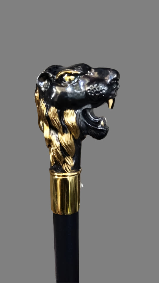 Walking stick - 006