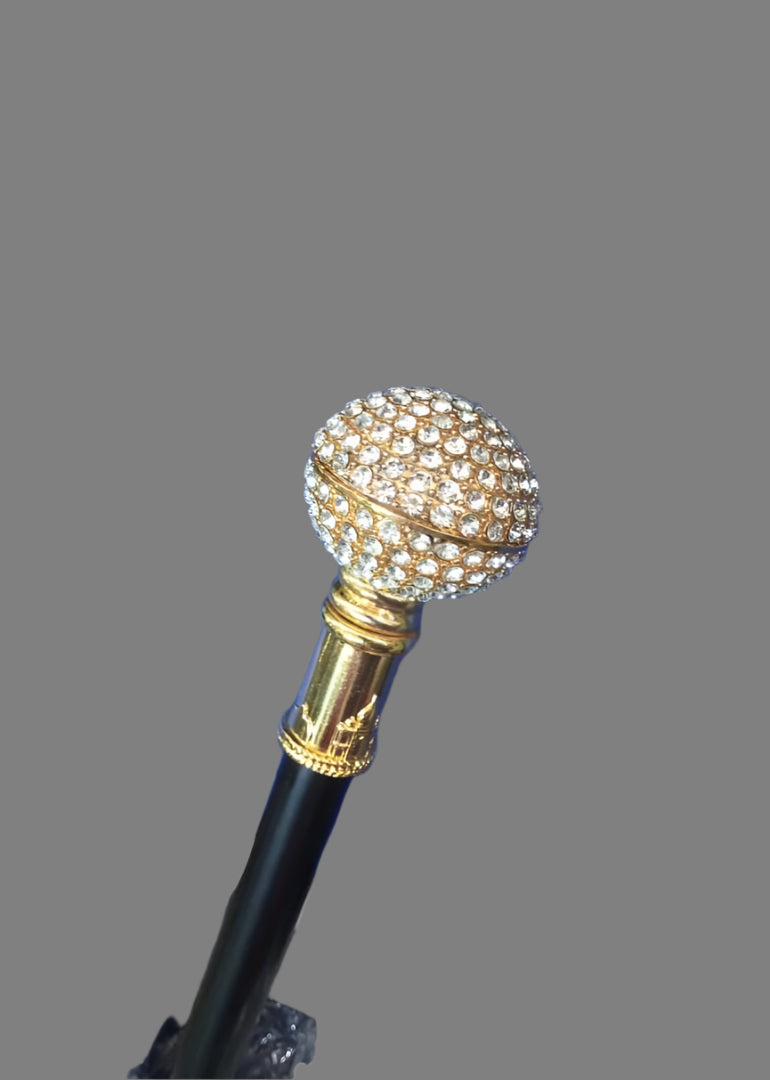 Walking Stick - 004