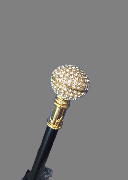 Walking Stick - 004