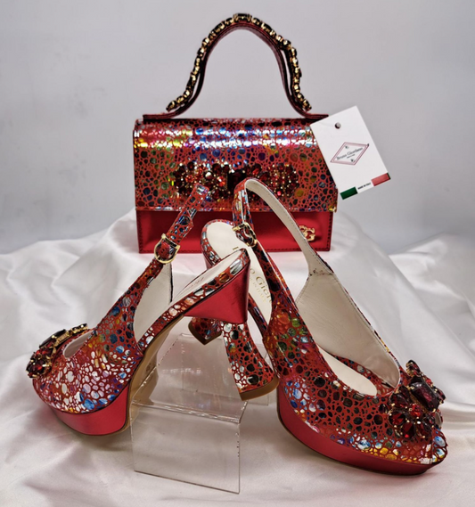 Romike Bag & Shoe Set