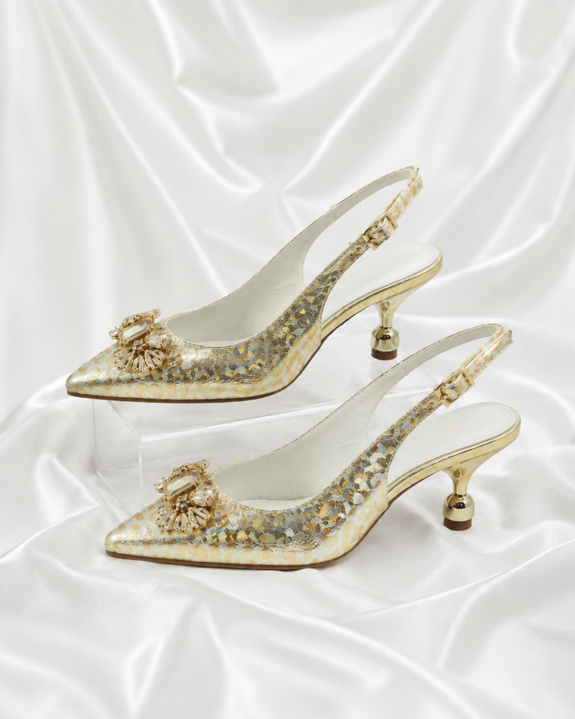 Deolu Gold Luxe Shoe & Bag Set