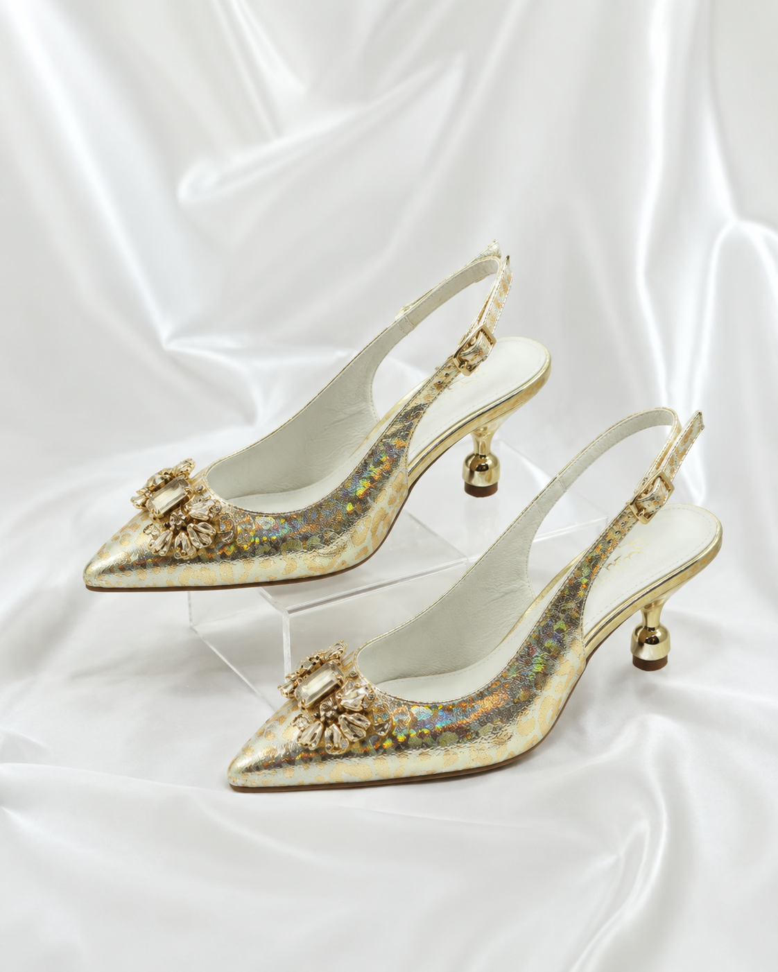 Deolu Gold Luxe Shoe & Bag Set