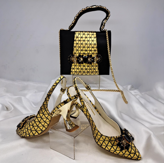 Temi Luxe Shoe and Bag Set